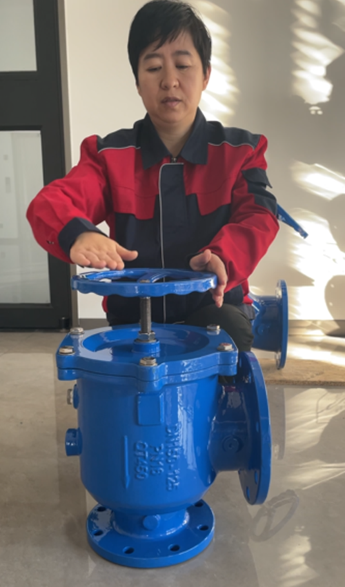 多功能三合一角型止回閥內(nèi)部結構 多功能三合一角型止回閥內(nèi)部結構